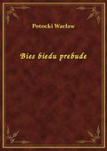 Bies biedu prebude - ebook