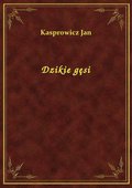 Dzikie gęsi - ebook