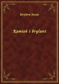 Kamień i brylant - ebook