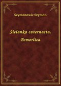 Sielanka czternasta. Pomorlica - ebook