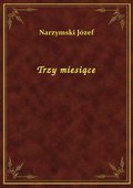 Trzy miesiące - ebook