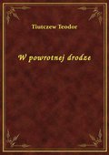 W powrotnej drodze - ebook