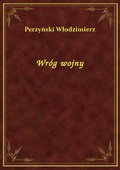 Wróg wojny - ebook